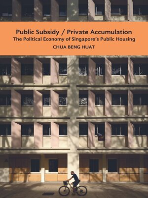 cover image of Public Subsidy, Private Accumulation